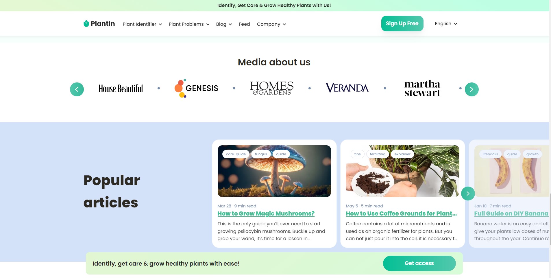 PlantIn AI app interface showing plant identification result