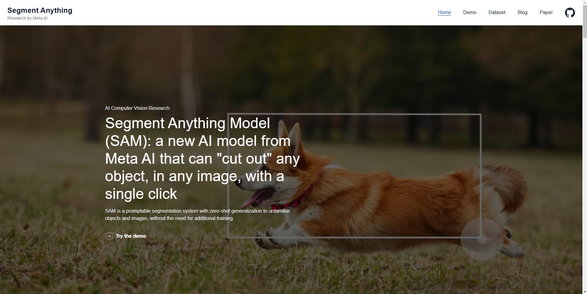 Segment Anything AI tool for data segmentation, simplifying complex image and dataset analysis with zero-shot generalization