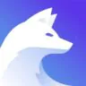 IceVPN